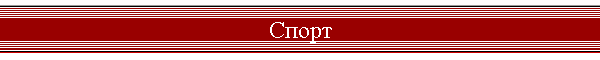 Спорт